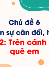Bài 12 Trên cánh đồng quê em